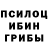 Псилоцибиновые грибы мухоморы Abdulmalik issah