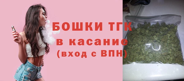 сатива Алзамай