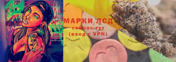 сатива Алзамай
