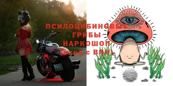 сатива Алзамай