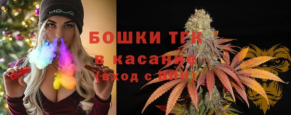 сатива Алзамай