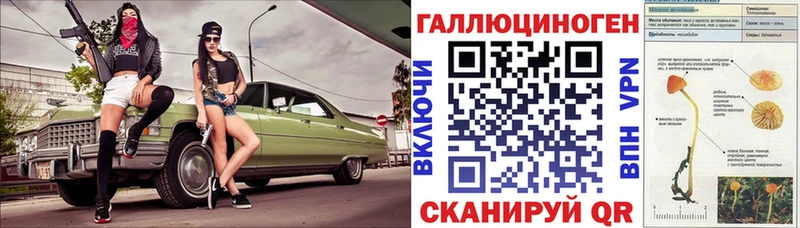 где найти наркотики  Краснообск  Галлюциногенные грибы Psilocybine cubensis 
